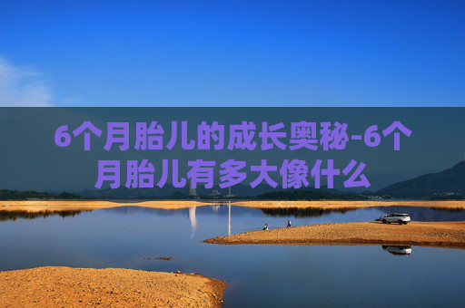 6个月胎儿的成长奥秘-6个月胎儿有多大像什么