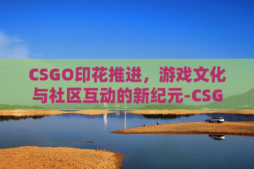 CSGO印花推进，游戏文化与社区互动的新纪元-CSGO印花