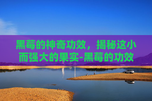黑莓的神奇功效，揭秘这小而强大的果实-黑莓的功效与作用及营养价值