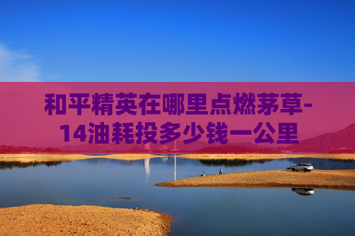 和平精英在哪里点燃茅草-14油耗投多少钱一公里
