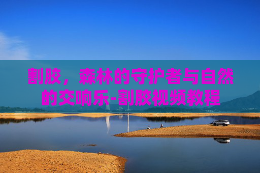 割胶，森林的守护者与自然的交响乐-割胶视频教程