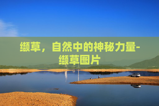 缬草，自然中的神秘力量-缬草图片