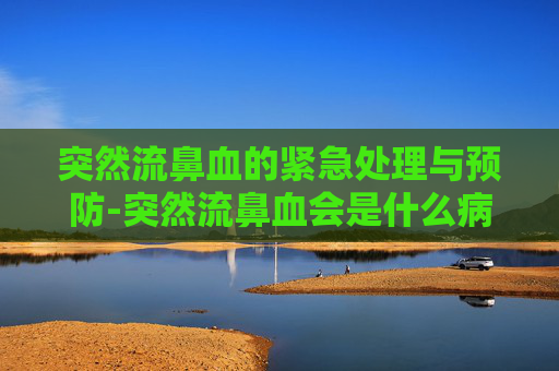 突然流鼻血的紧急处理与预防-突然流鼻血会是什么病