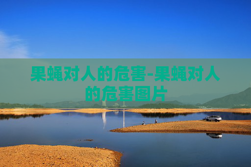 果蝇对人的危害-果蝇对人的危害图片