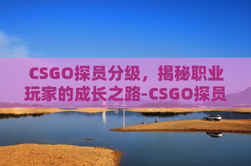 CSGO探员分级，揭秘职业玩家的成长之路-CSGO探员