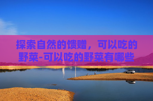 探索自然的馈赠，可以吃的野菜-可以吃的野菜有哪些