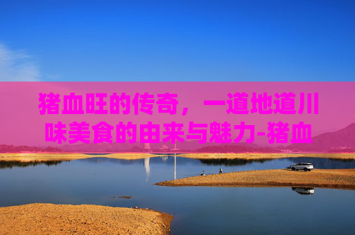 猪血旺的传奇，一道地道川味美食的由来与魅力-猪血旺胆固醇高吗