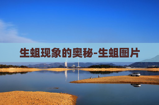 生蛆现象的奥秘-生蛆图片