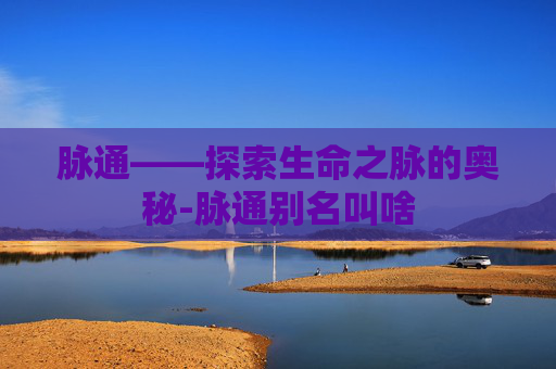脉通——探索生命之脉的奥秘-脉通别名叫啥