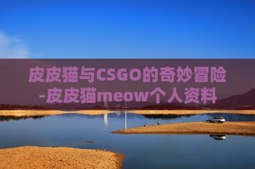 皮皮猫与CSGO的奇妙冒险-皮皮猫meow个人资料