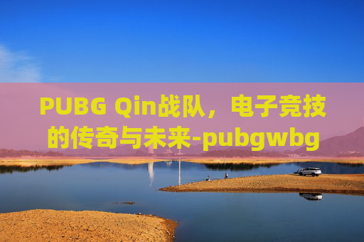 PUBG Qin战队，电子竞技的传奇与未来-pubgwbg战队