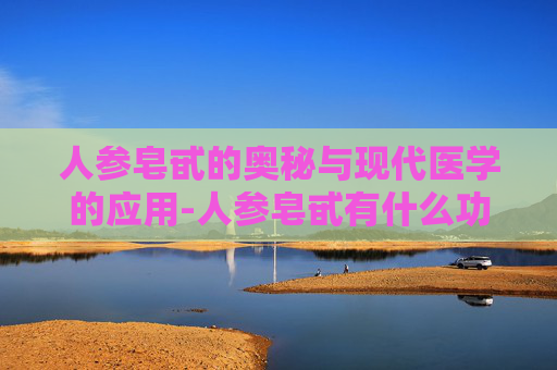 人参皂甙的奥秘与现代医学的应用-人参皂甙有什么功效