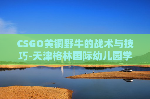 CSGO黄铜野牛的战术与技巧-天津格林国际幼儿园学费