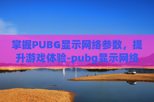 掌握PUBG显示网络参数，提升游戏体验-pubg显示网络异常怎么办