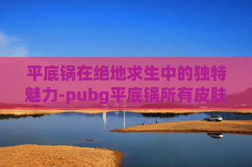平底锅在绝地求生中的独特魅力-pubg平底锅所有皮肤