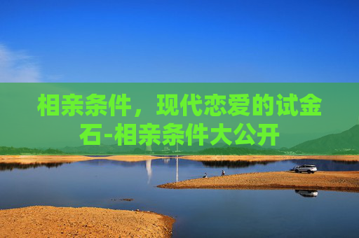 相亲条件，现代恋爱的试金石-相亲条件大公开