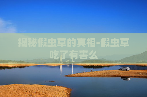 揭秘假虫草的真相-假虫草吃了有害么