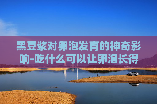 黑豆浆对卵泡发育的神奇影响-吃什么可以让卵泡长得快