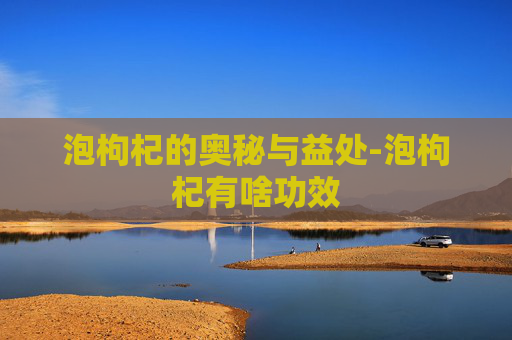 泡枸杞的奥秘与益处-泡枸杞有啥功效