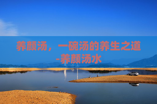 养颜汤，一碗汤的养生之道-养颜汤水