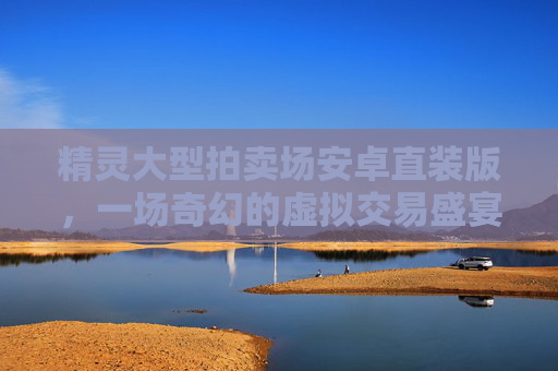 精灵大型拍卖场安卓直装版，一场奇幻的虚拟交易盛宴-精灵大型拍卖场像素版在线下载