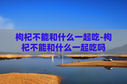 枸杞不能和什么一起吃-枸杞不能和什么一起吃吗