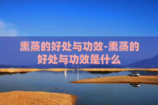 熏蒸的好处与功效-熏蒸的好处与功效是什么