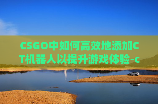 CSGO中如何高效地添加CT机器人以提升游戏体验-csgo添加机器人步骤