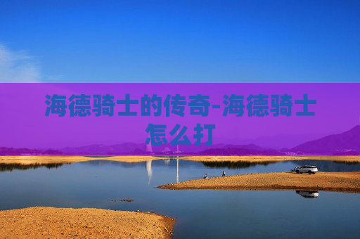 海德骑士的传奇-海德骑士怎么打
