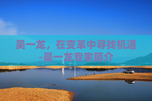 吴一龙，在变革中寻找机遇-吴一龙专家简介