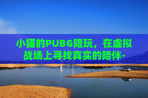 小猫的PUBG陪玩，在虚拟战场上寻找真实的陪伴-