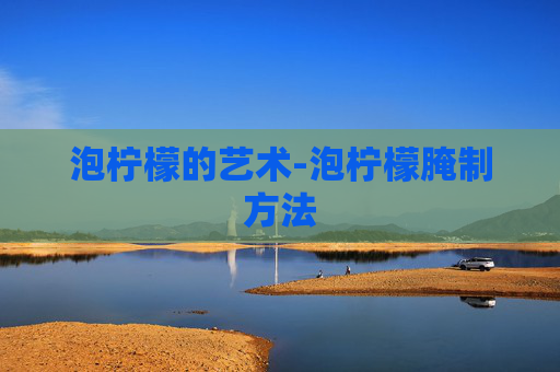 泡柠檬的艺术-泡柠檬腌制方法