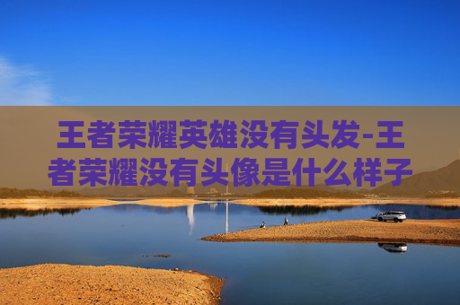 王者荣耀英雄没有头发-王者荣耀没有头像是什么样子