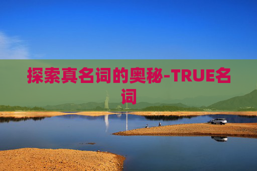 探索真名词的奥秘-TRUE名词