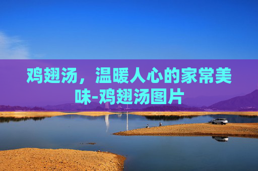 鸡翅汤，温暖人心的家常美味-鸡翅汤图片
