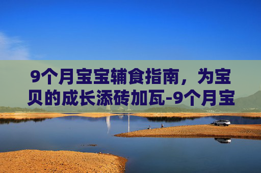 9个月宝宝辅食指南，为宝贝的成长添砖加瓦-9个月宝宝辅食怎么做