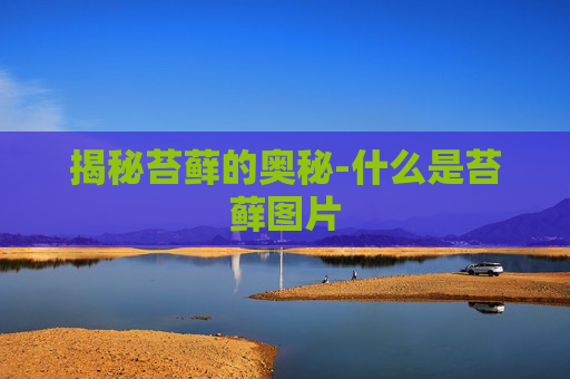 揭秘苔藓的奥秘-什么是苔藓图片