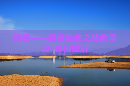 脉相——解读生命之脉的奥秘-脉相图解