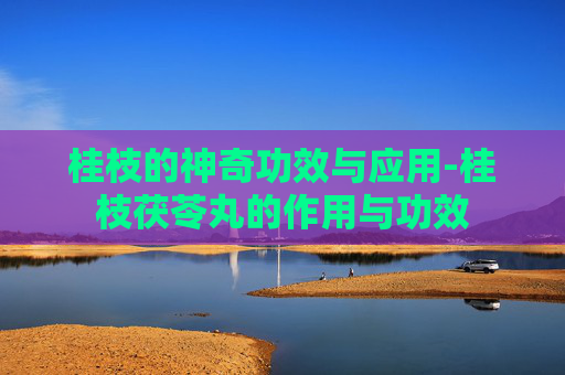 桂枝的神奇功效与应用-桂枝茯苓丸的作用与功效