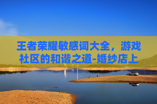 王者荣耀敏感词大全，游戏社区的和谐之道-婚纱店上班要干什么