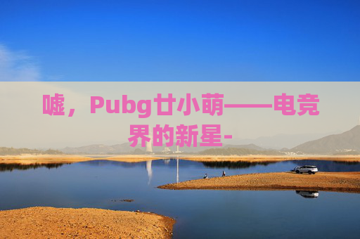 嘘，Pubg廿小萌——电竞界的新星-