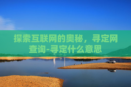 探索互联网的奥秘，寻定网查询-寻定什么意思