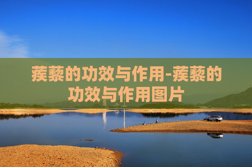 蒺藜的功效与作用-蒺藜的功效与作用图片