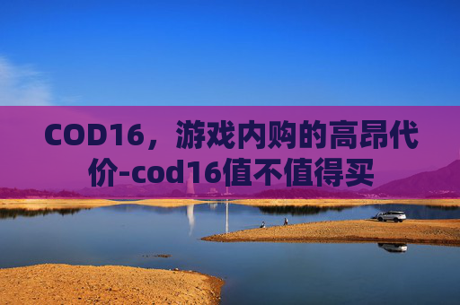 COD16，游戏内购的高昂代价-cod16值不值得买