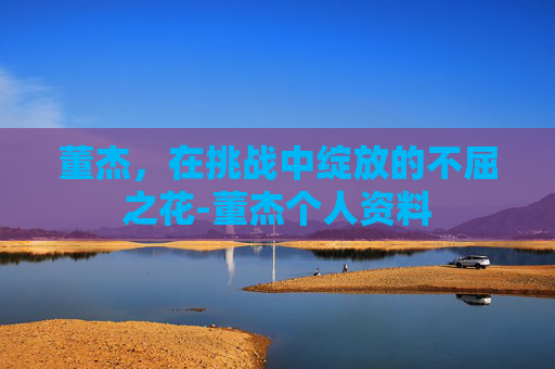 董杰，在挑战中绽放的不屈之花-董杰个人资料