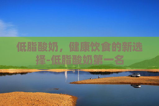 低脂酸奶，健康饮食的新选择-低脂酸奶第一名