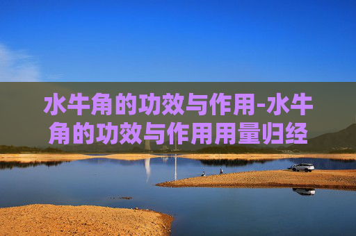 水牛角的功效与作用-水牛角的功效与作用用量归经