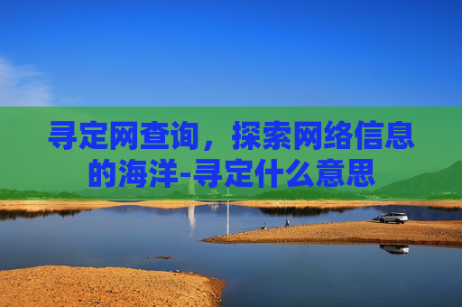 寻定网查询，探索网络信息的海洋-寻定什么意思