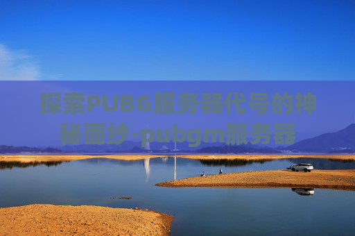 探索PUBG服务器代号的神秘面纱-pubgm服务器