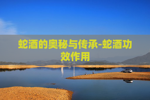 蛇酒的奥秘与传承-蛇酒功效作用